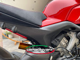 CARBONVANI Caches boucle arrière carbone Ducati Streetfighter V4 / V4S