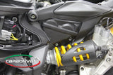 Cache cylindre en carbone de la marque Carbonvani pour Ducati Panigale 899, 959, 1199, 1299 et R