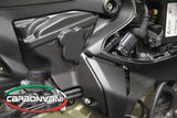 Cache cylindre en carbone de la marque Carbonvani pour Ducati Panigale 899, 959, 1199, 1299 et R